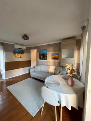 Lovely apartment overlooking the lake